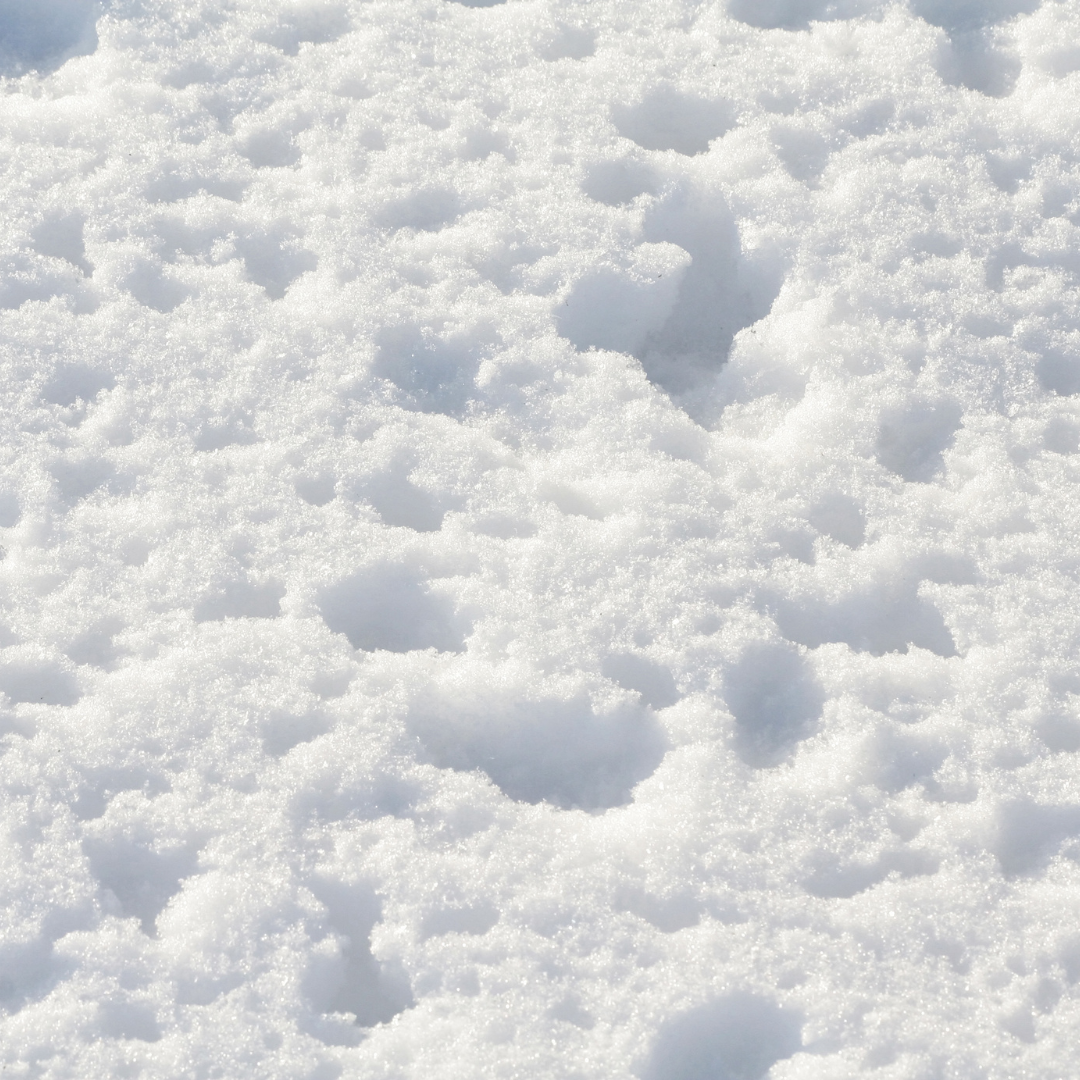 Sustainable Snow Removal: Keep Your Property Safe and Eco-Friendly with Green Ice Melt